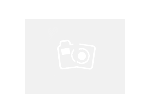 upload/photo/players_plphoto_tsx1745309725.jpg Image